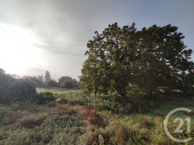 terrain à vendre - 710.0 m2 - VILLERS COTTERETS - 02 - PICARDIE - Century 21 Alvaro Immo