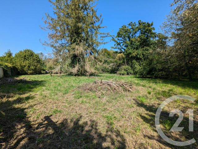 maison à vendre - 11 pièces - 254.8 m2 - VILLERS COTTERETS - 02 - PICARDIE - Century 21 Alvaro Immo